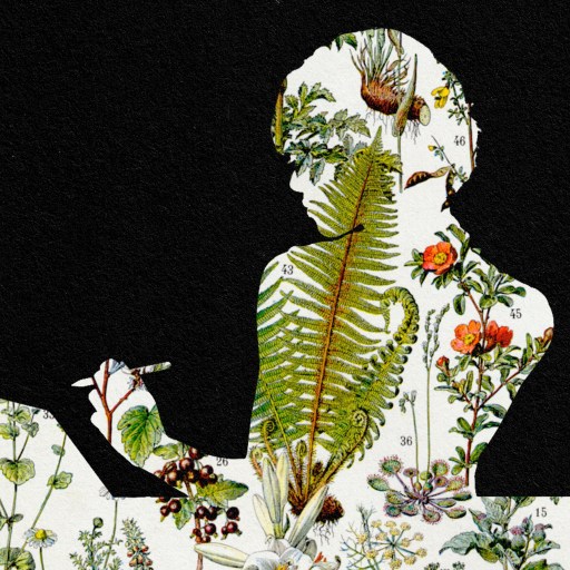 A silhouette of a woman reading a book, embodying a growth mindset.