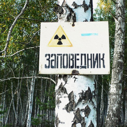 A mayak sign on a tree in a forest.