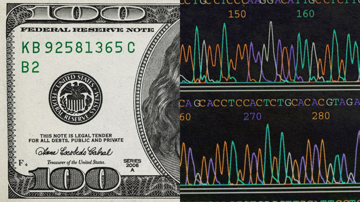 A picture of a dollar bill with a wave pattern.