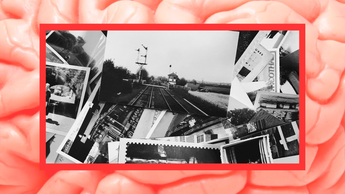 A photo of a brain with false memories.