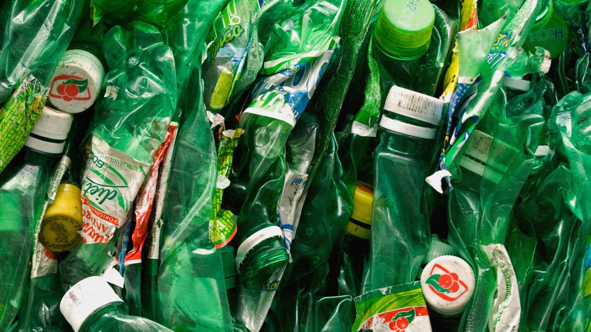 A pile of recyclable plastic bottles.