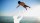A silhouette of a boy jumping into the water.