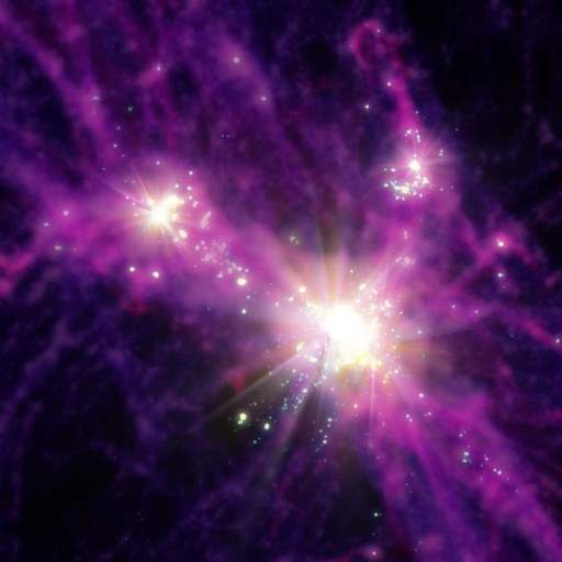 FIRE simulation JWST starburst star-forming