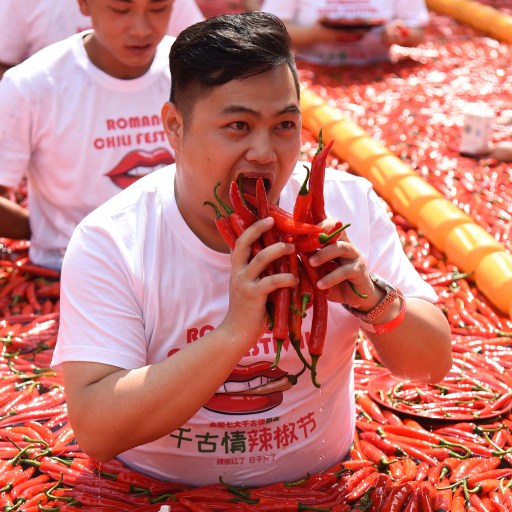 A man consuming capsaicin-rich chili peppers in a vibrant red field.