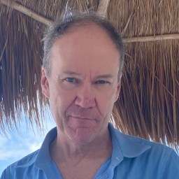 A man in a blue shirt standing under a thatched roof.