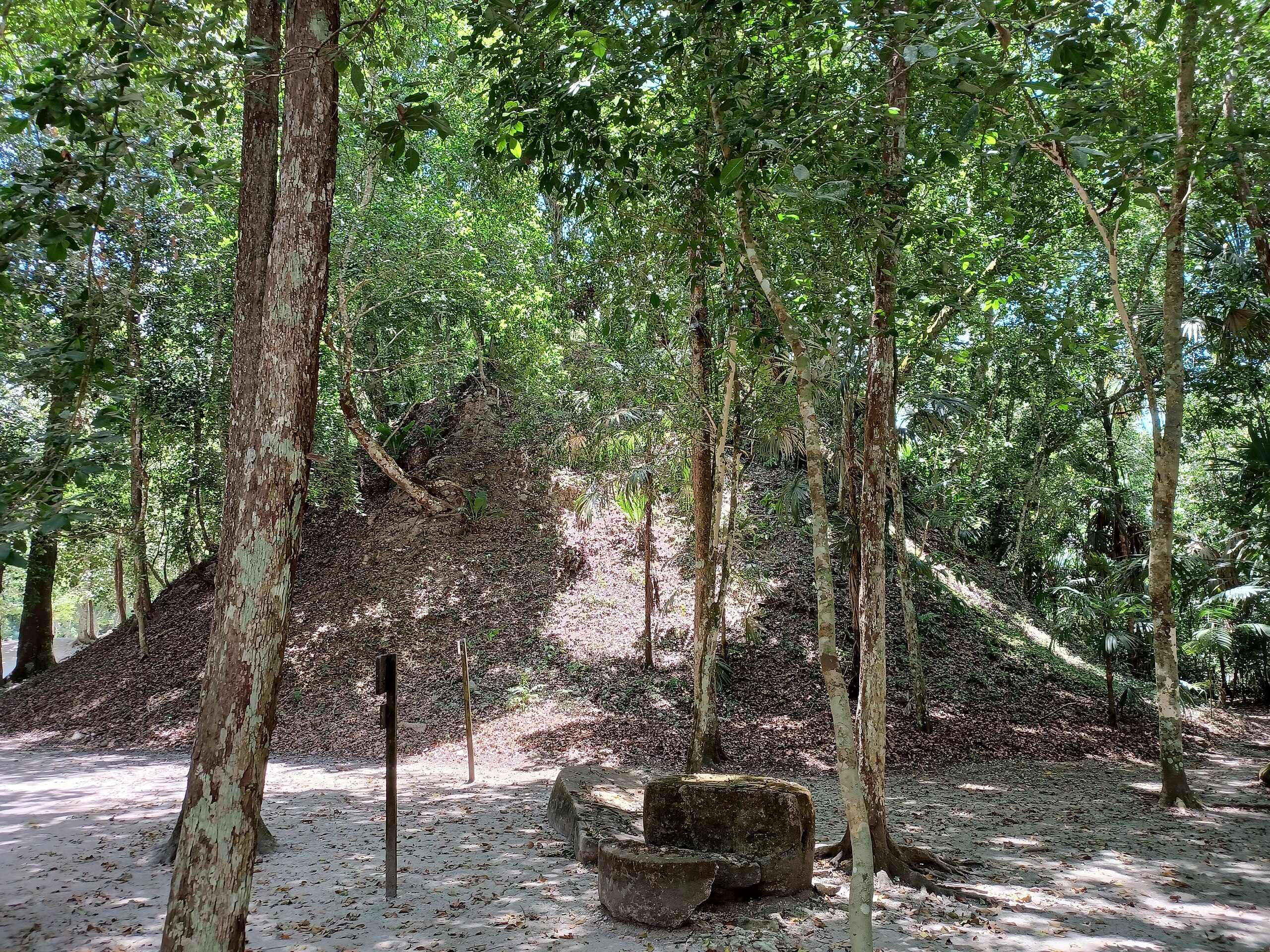 Tikal