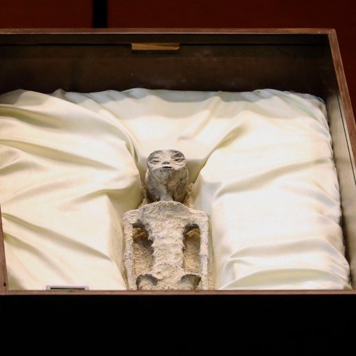 A mummy inside a casket found in Mexico.