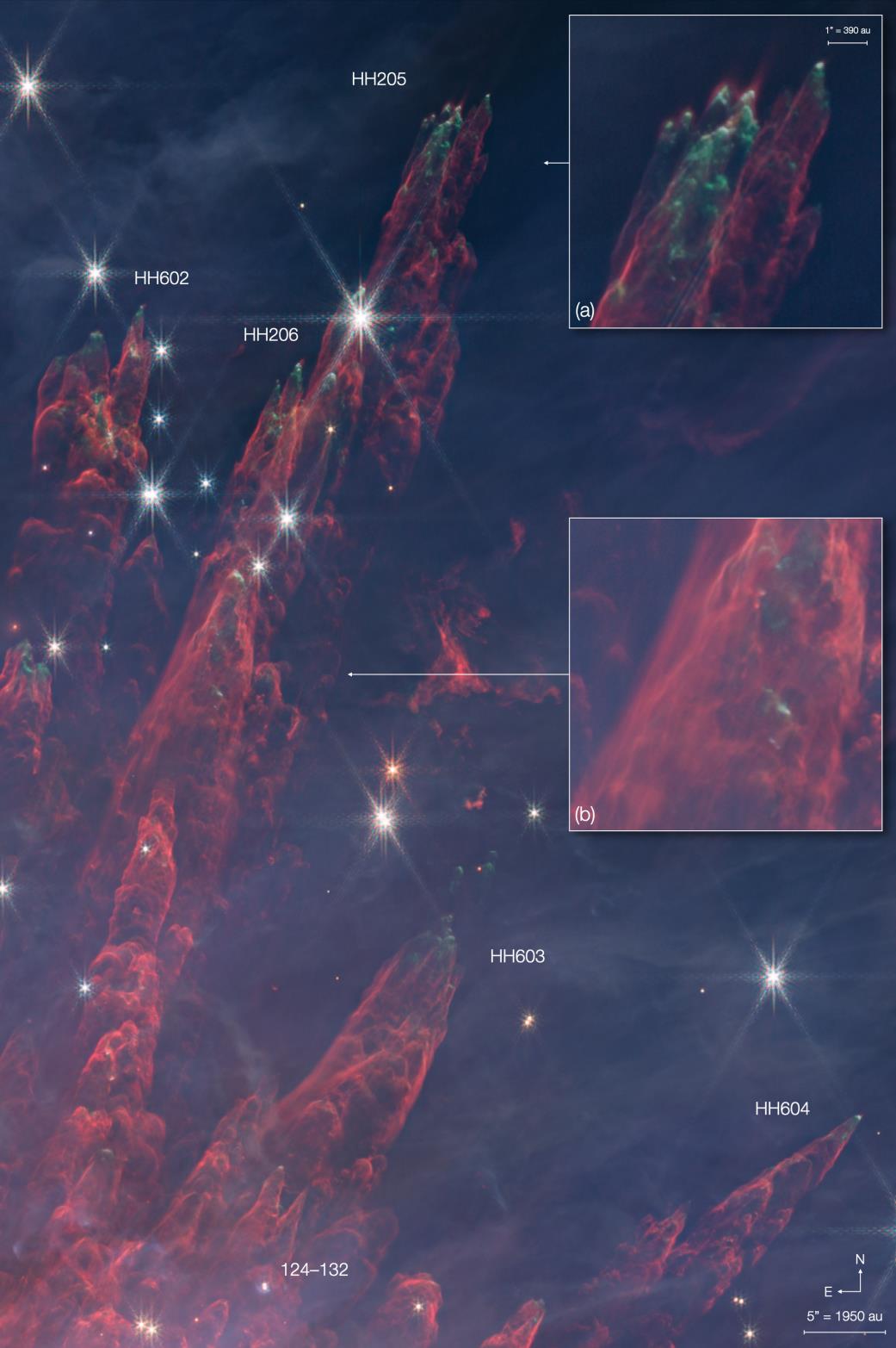 gas globules at the edge of the Orion Nebula