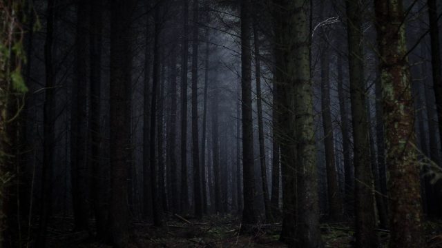 An image of a dark forest at night infused with the mysterious aura of the Bell Witch.
