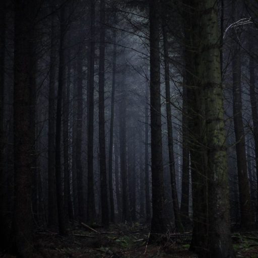 An image of a dark forest at night infused with the mysterious aura of the Bell Witch.