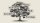 A tree diagram with branches labeled Astrobiology, Technology, Physics, Math, and Sociology, representing different academic disciplines.