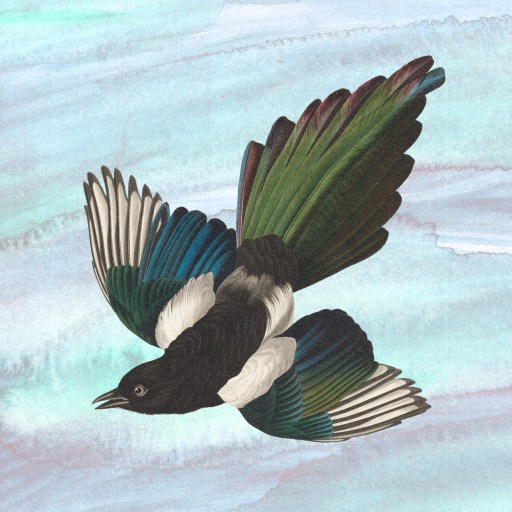 An innovative drawing of a bird soaring through the sky, supercharging inspiration with its dynamic flight.