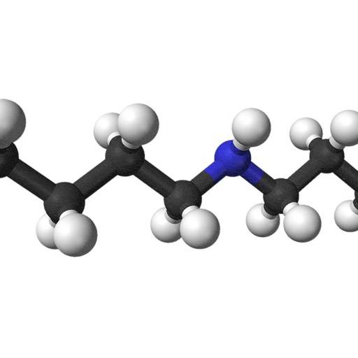 A spermidine molecule model.