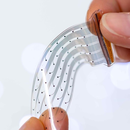 A person's hand is holding a piece of paper.