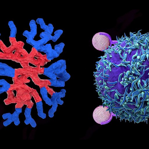 An image of a virus and a blue and red cell.