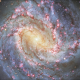 The Milky Way, a galaxy in space filled with stars, grew up.