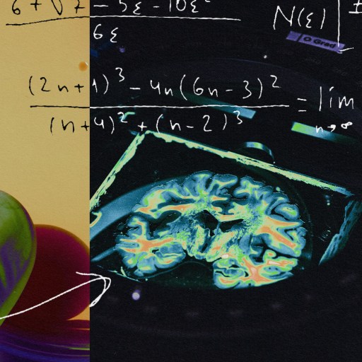 An image of a person's ear and brain.