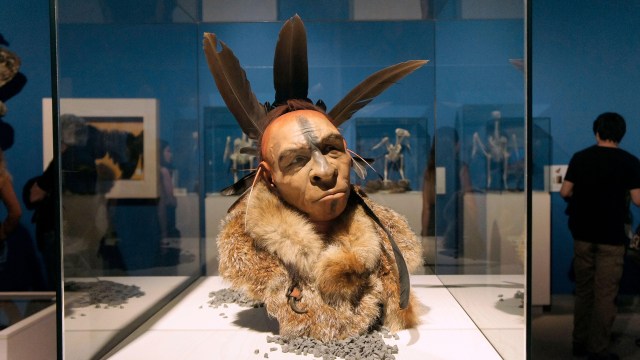 A group of people look at a display of Neanderthal artifacts.