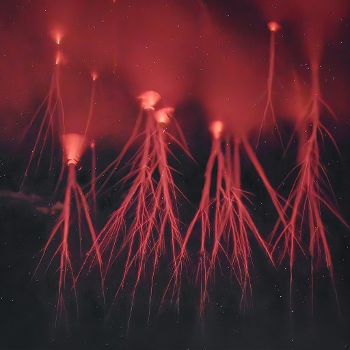 A red light is coming out of a tree in the night sky, resembling an upper-atmosphere lightning phenomenon.