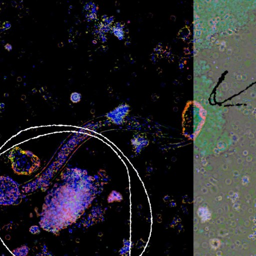 A black and white image of a black and white image of a black and white image of a black and white image of a.