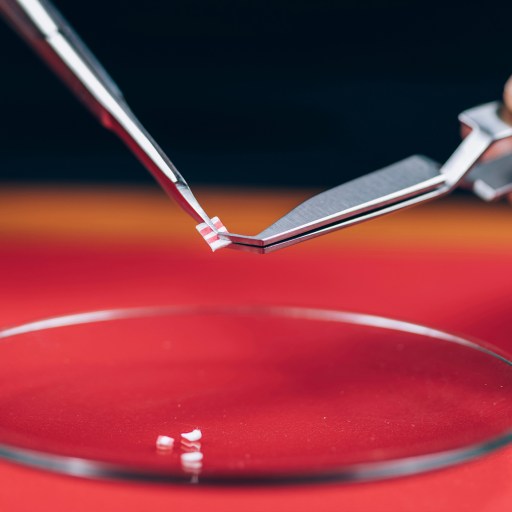 A person cutting a diamond with a pair of tweezers while under the influence of LSD.