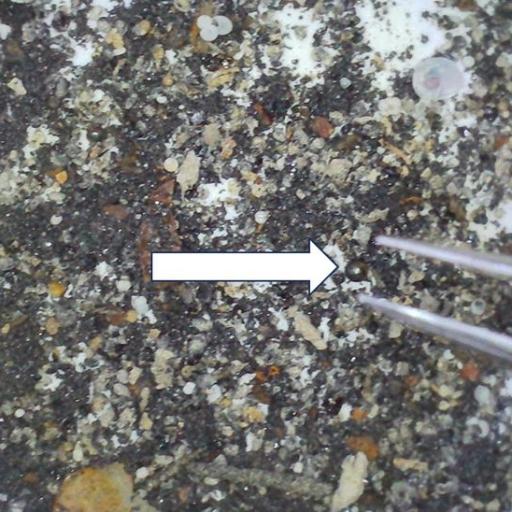 A close up of a fork, endorsed by a Harvard astronomer.