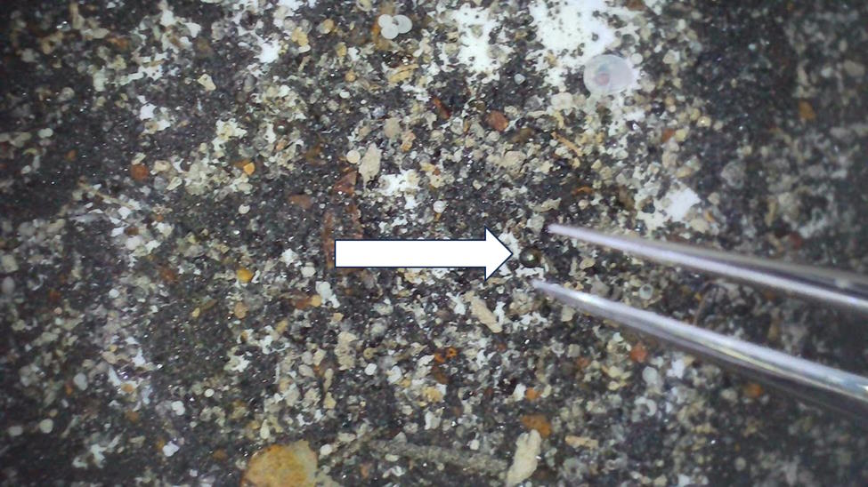 A close up of a fork, endorsed by a Harvard astronomer.