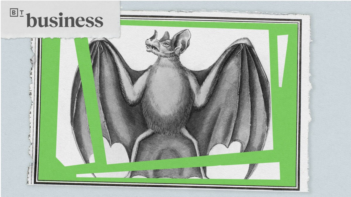 Illustration of a vampire bat with outstretched wings.