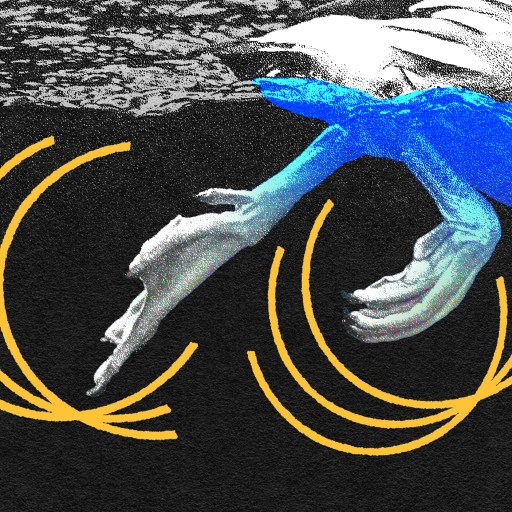 An image of a pelican with its feet in the water, capturing the essence of Stanford Duck Syndrome.