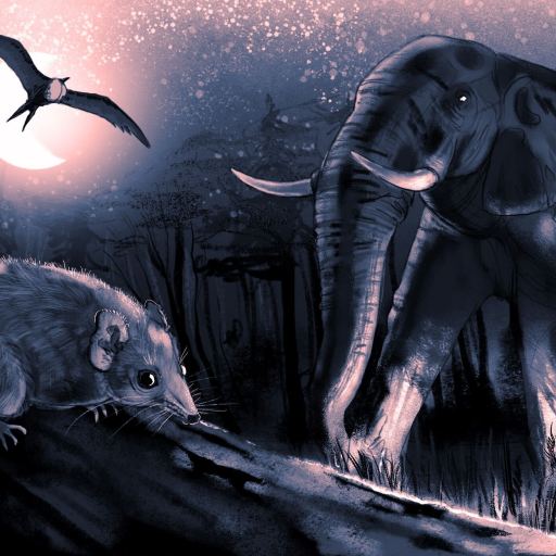 Illustration of a prehistoric scene with a rodent-like mammal, possibly experiencing animal sleep deprivation, perched on a branch. In the background, two elephants are walking while a flying reptile soars under the moonlit sky.