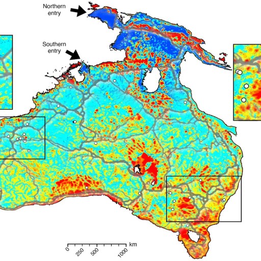 A map of Australia showing probability of species presence with color gradients from low (blue) to high (red). Insets display detailed regions. Arrows indicate the Northern and Southern entry points.