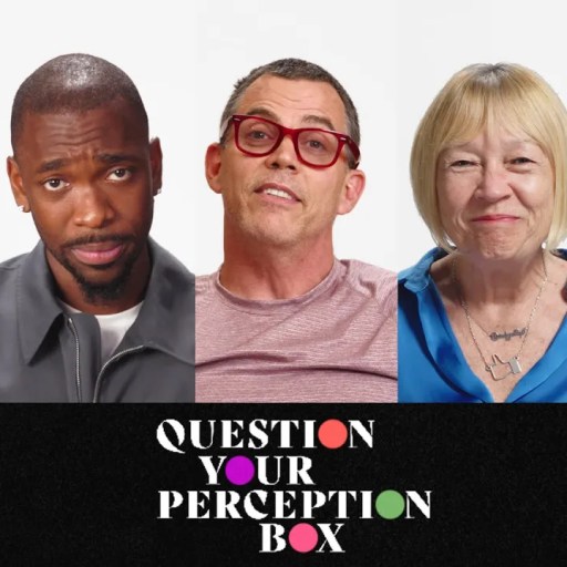 Five people of diverse backgrounds are lined up against a white background with the text "Question Your Perception Box" displayed below them.