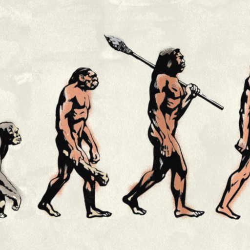 Illustration depicting human evolution from a primate to an early human holding a spear, advancing from left to right.