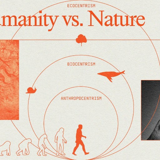 Illustration depicting "Humanity vs. Nature" with diagrams of evolution, ecocentrism, biocentrism, and anthropocentrism, featuring images of a tree, human evolution, and a whale.