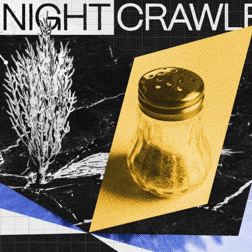 Collage of graphical elements includes a plant, a salt shaker, and abstract designs with the text "THE NIGHTCRAWLER" and a small "resilient investing" logo in the corner.