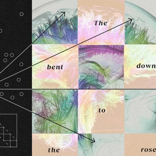 A diagram combines a 3D brain connectome with text and geometric shapes, with arrows pointing to areas labeled "The child bent down to smell the rose." A list and graph are shown on the left, illustrating how words in the brain are processed.