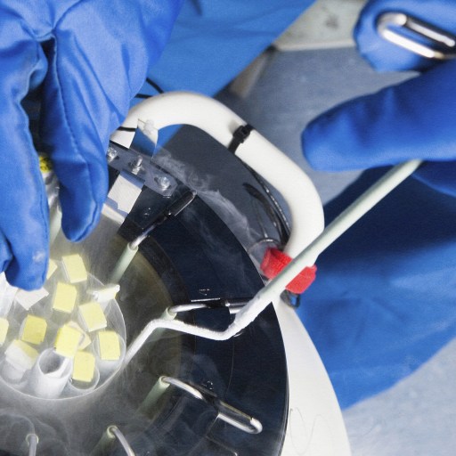 A close-up of gloved hands handling a cryogenic storage device with straw container tubes inside, emitting visible vapor.