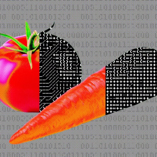 Image of a tomato and carrot, each partially overlaid with a black and white digital circuit pattern. The background is a gray, circuit-like texture.