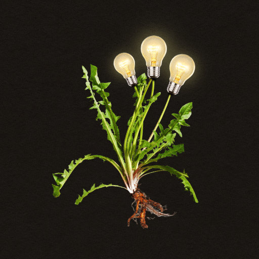 A plant with leaves and roots resembling a dandelion has four glowing light bulbs in place of flowers, creating innovation clusters against a black background.