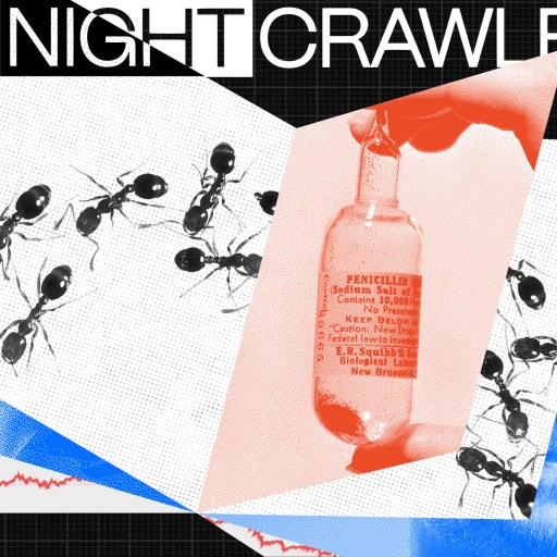 A collage features images of a person smiling, ants, a penicillin bottle, another person's face, and an autonomous car, with the title "The Nightcrawler" at the top against a dark background.
