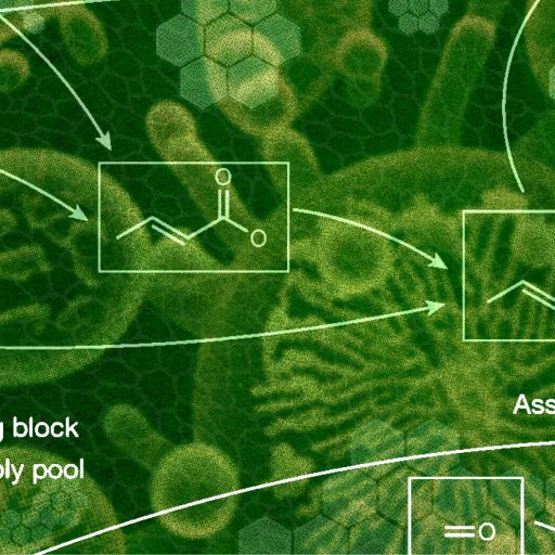 A green and abstract background with connected molecular diagrams and labeled sections: "Building block" and "Assembly pool," with an "Assembly index: 8.