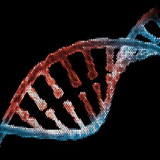 Digital illustration of a DNA double helix in red and blue, set against a black background.