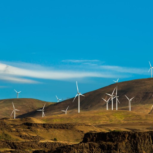 Wind turbines on grassy hills under a clear blue sky.