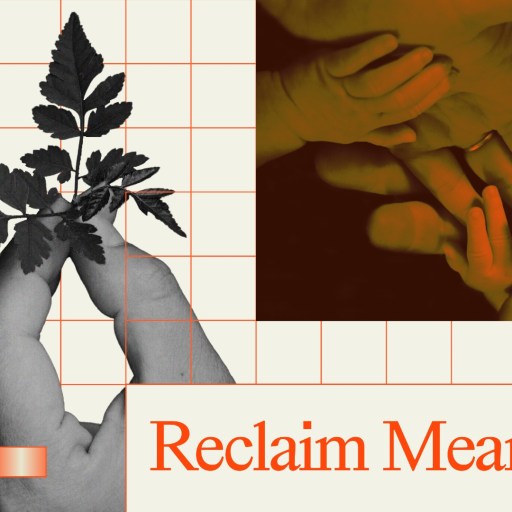 A collage featuring hands holding a plant, additional hands in sepia tone, a grid background, orange accents, and the text "Reclaim Meaning" with the number 4.