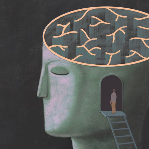 Illustration of a person standing on a ladder inside a large head with a maze-like brain exposed, symbolizing introspection or exploration of the mind.