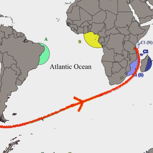 Map showing migration routes across the Pacific and Atlantic Oceans to the Indian Ocean, with sightings marked by colors and dates.