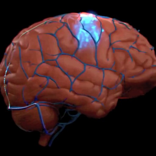 A digital illustration of a human brain with blue veins and a glowing light at the top, set against a black background.