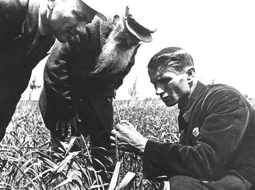 Three men scrutinize the plants in a field, their discussion weaving through layers of science and discovery, as if dissecting nature’s hidden truths under the watchful gaze of an invisible government censor.