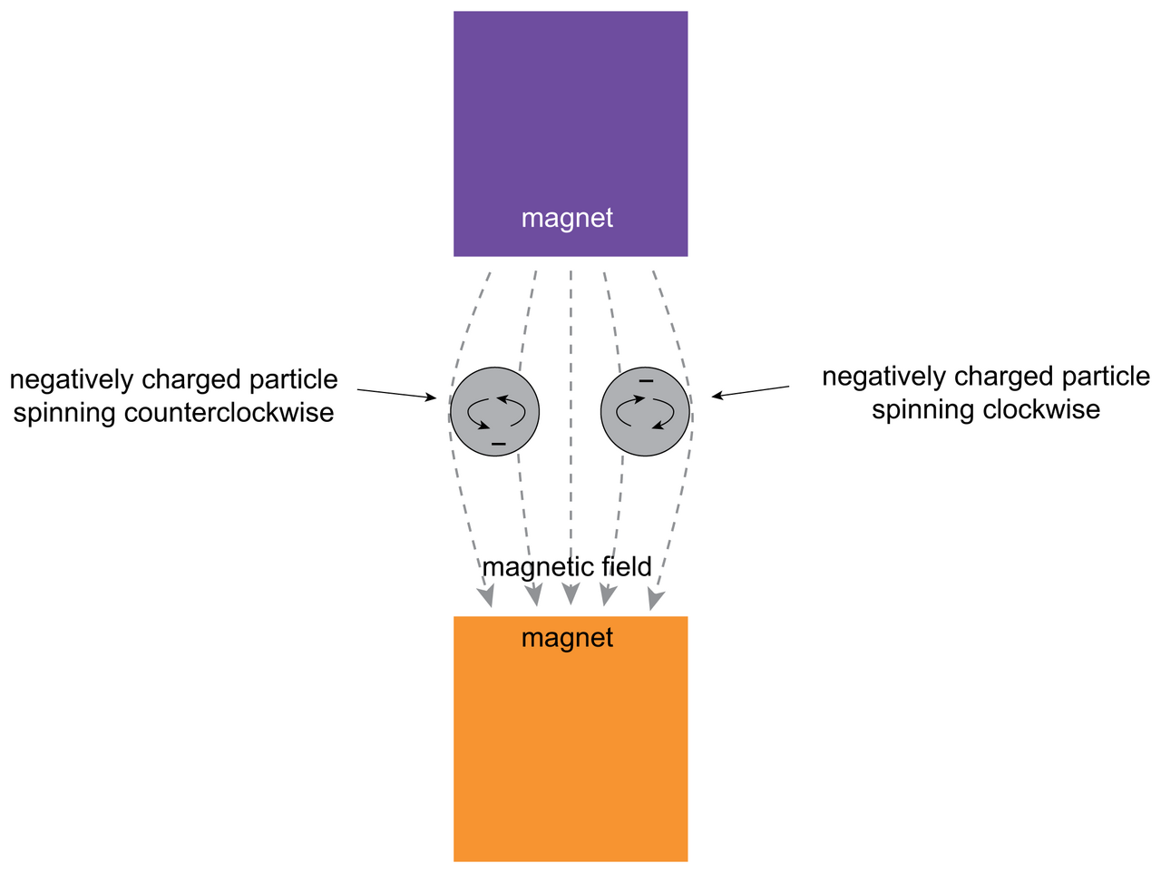 Diagram showing two magnets and a magnetic field influencing negatively charged particles, with one spinning counterclockwise and the other clockwise. Nearby, proton interactions hint at quarks forming complex structures.