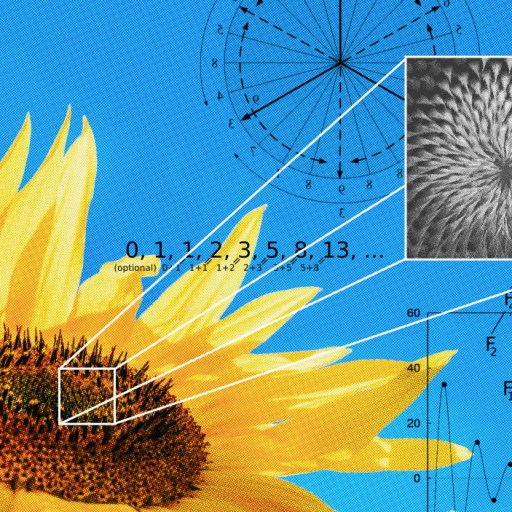 A sunflower with a detailed close-up of its center, showcasing spiral patterns intertwined with mathematics. Fibonacci sequence and mathematical diagrams elegantly overlay a serene blue background.